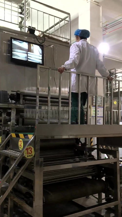 酸辣粉生產線集成烘干裝置 提升即食粉絲生產效率與品質